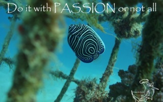 Do it with passion