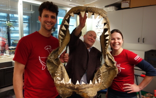 Port Fairy Jaws, The Natural History Museum