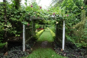 Rarotonga Botanical Gardens